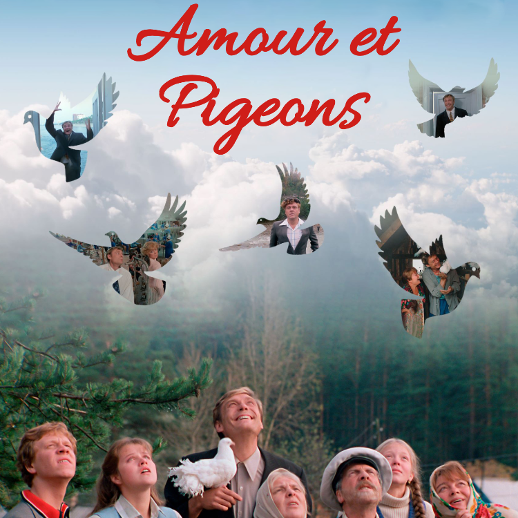 Amour et pigeons
